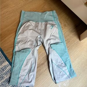 Gymshark Gray and Teal Leggings